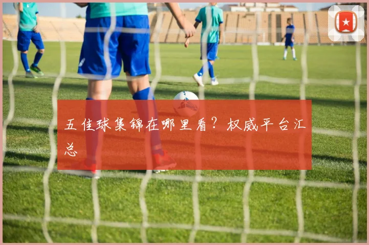 五佳球集锦在哪里看?权威平台汇总